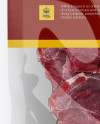 Beef Jerky Package Mockup