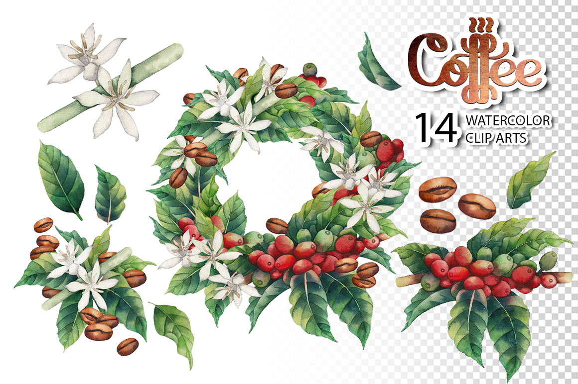 Watercolor and graphic coffee plants on Yellow Images Creative Store