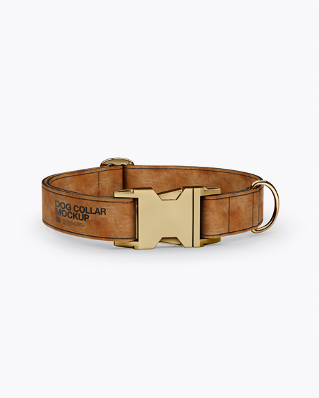 Download Leather Dog Collar Mockup - Front View (High-Angle Shot ...