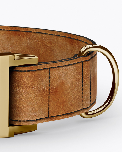 Download Leather Dog Collar Mockup Front View High Angle Shot In Object Mockups On Yellow Images Object Mockups