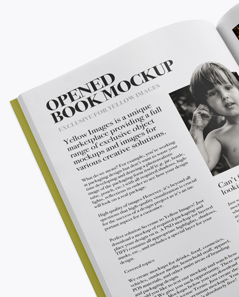 Download Open Book Mockup Free Download Yellowimages