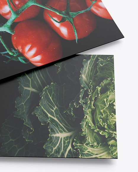 Two Flyers Mockup PSD #1