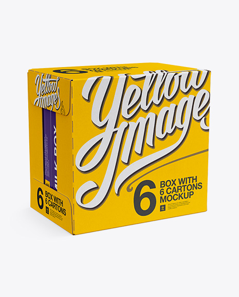 Box W/ 6 Cartons Mockup - Half-Side View