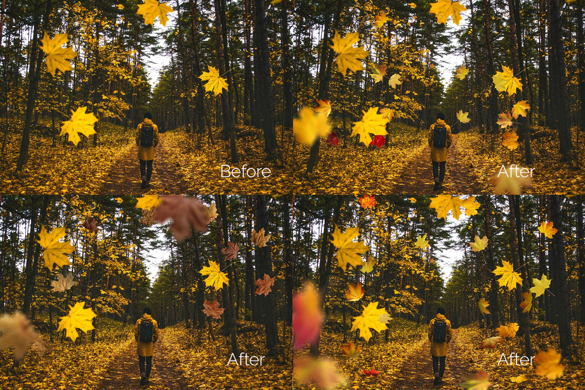 fall leaf overlays