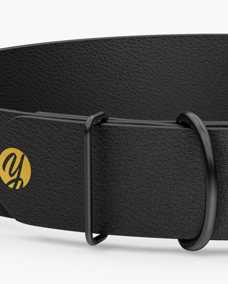 Leather Dog Collar Mockup - Front View (High-Angle Shot ...