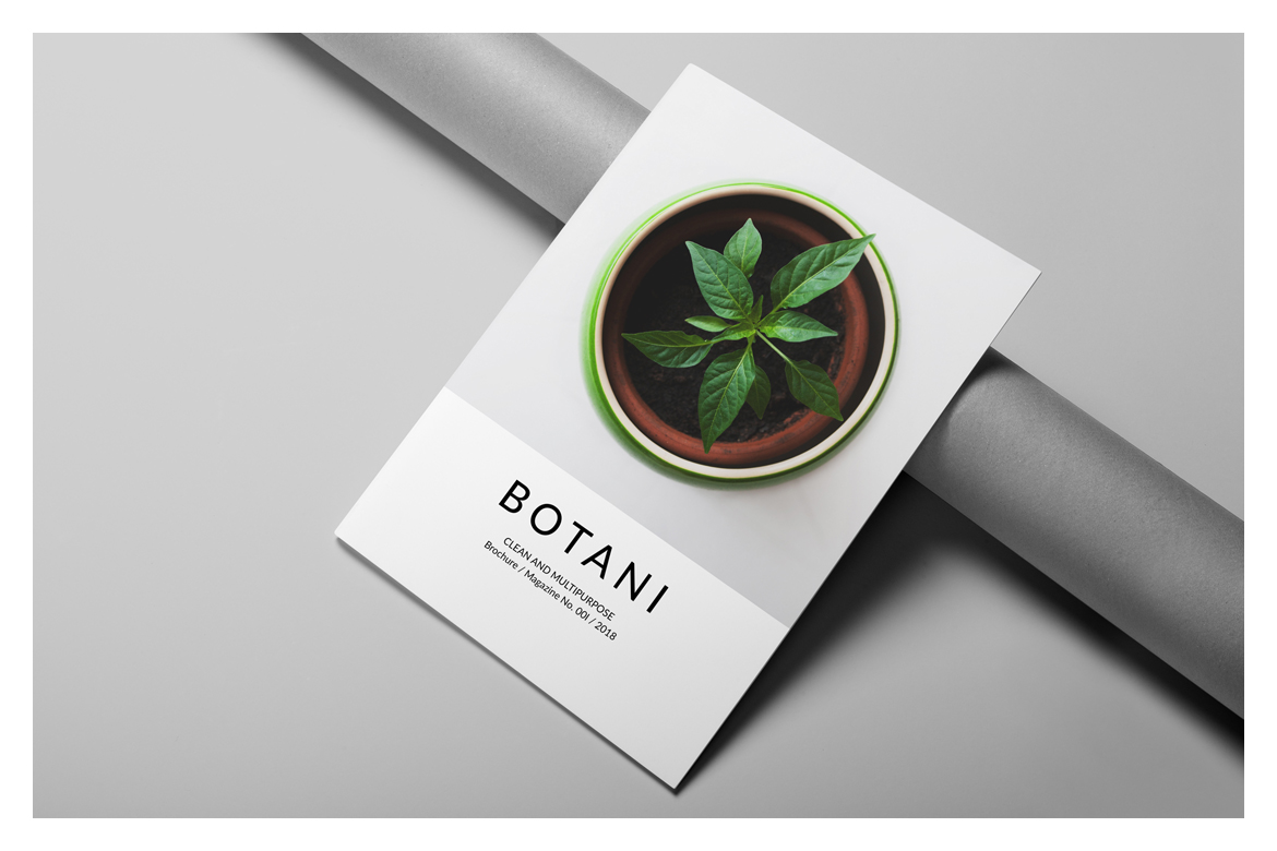 Botani Magazine In Magazine Templates On Yellow Images Creative Store