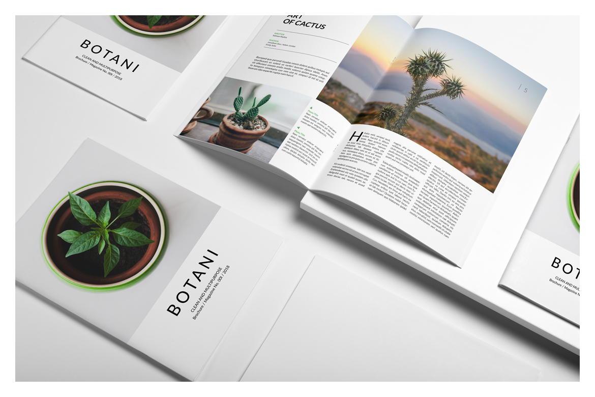 Botani Magazine In Magazine Templates On Yellow Images Creative Store