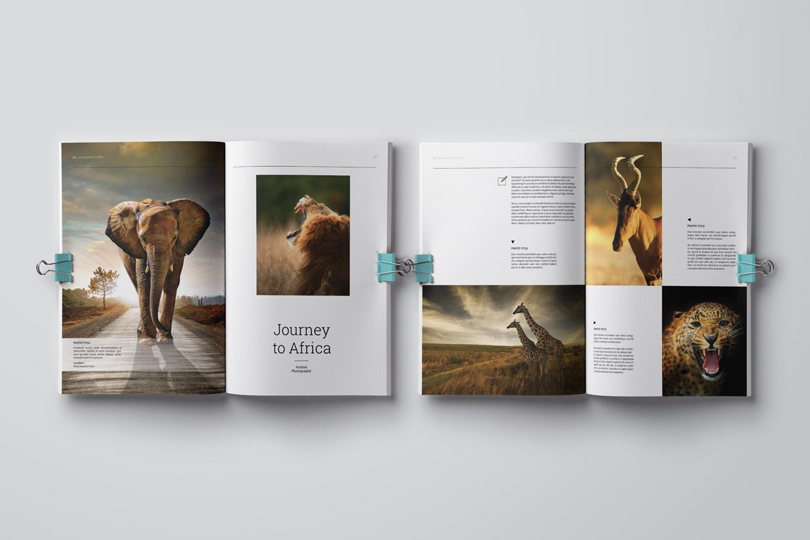 package design portfolio pdf