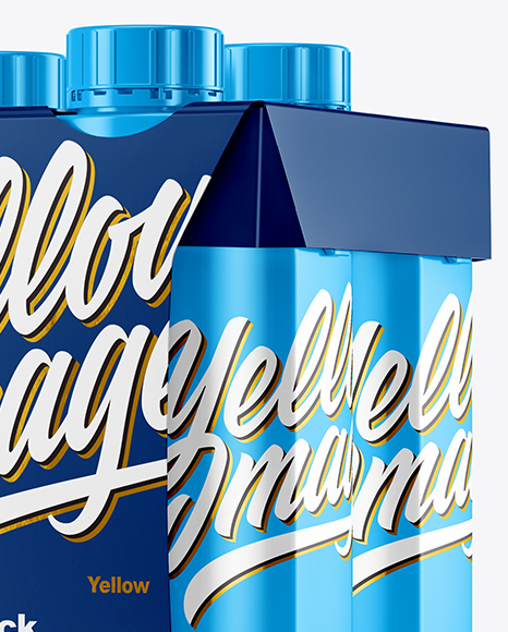 Glossy 4 Pack Paper Carrier Mockup PSD #1