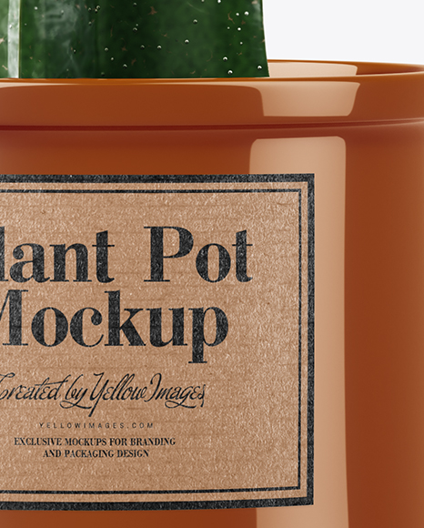 Download Cactus In Glossy Pot Mockup In Object Mockups On Yellow Images Object Mockups PSD Mockup Templates