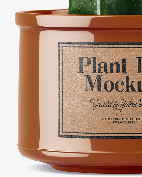 Download Cactus In Glossy Pot Mockup In Object Mockups On Yellow Images Object Mockups PSD Mockup Templates
