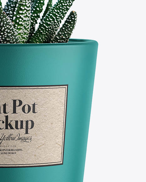 Ceramic Plant Pot Mockup PSD #1