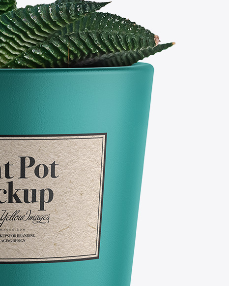 Ceramic Plant Pot Mockup PSD #1