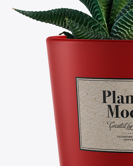 Matte Plant Pot Mockup PSD #2