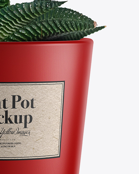 Matte Plant Pot Mockup PSD #1