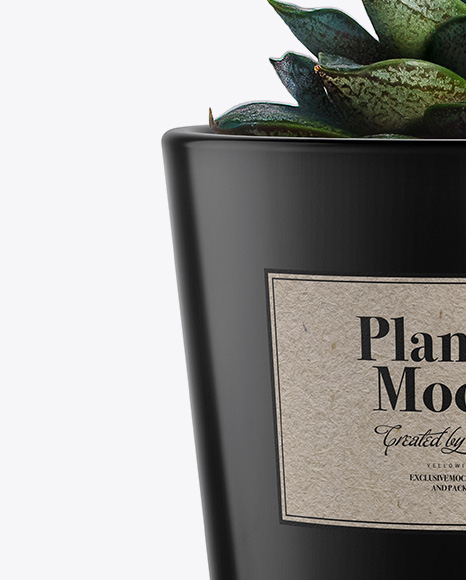 Glossy Plant Pot Mockup PSD #2