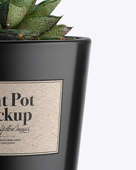 Glossy Plant Pot Mockup PSD #1