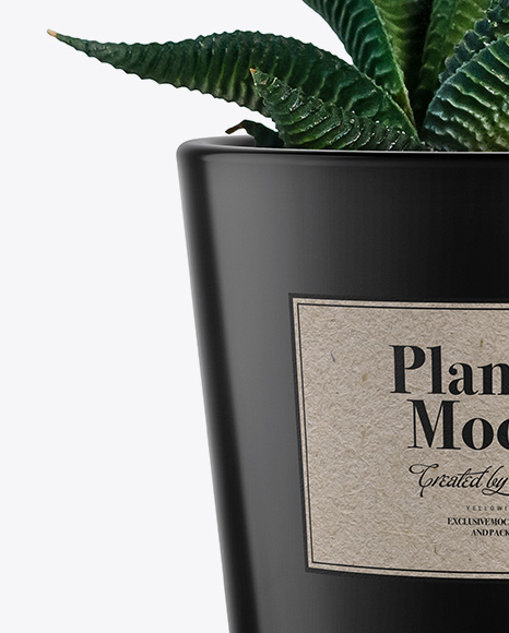 Glossy Plant Pot Mockup