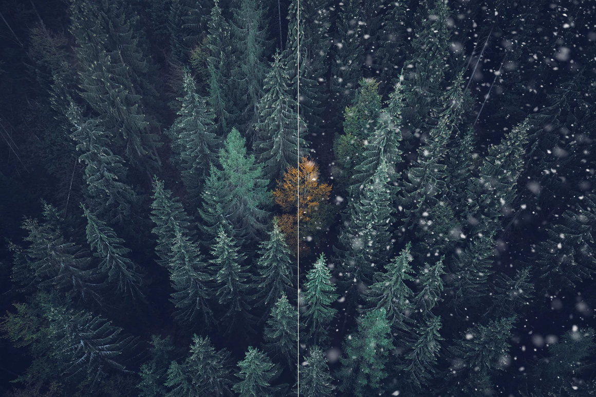 100 Snow Brushes on Yellow Images Creative Store