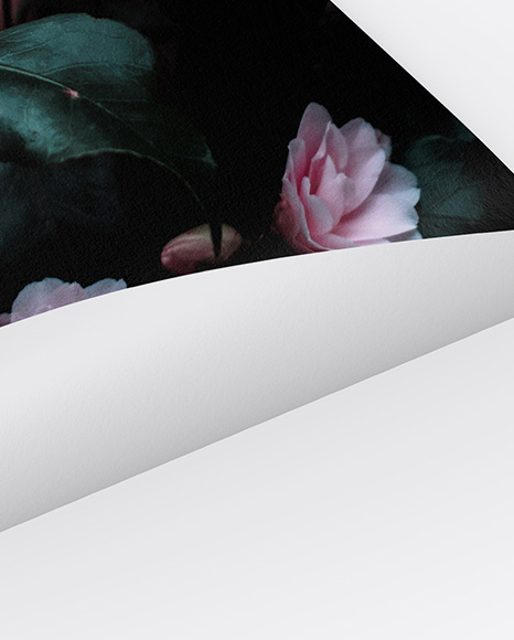 Textured A4 Paper Mockup PSD #1