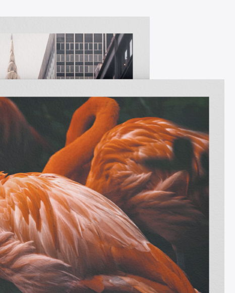 2 Textured Paper Pieces Mockup PSD #1