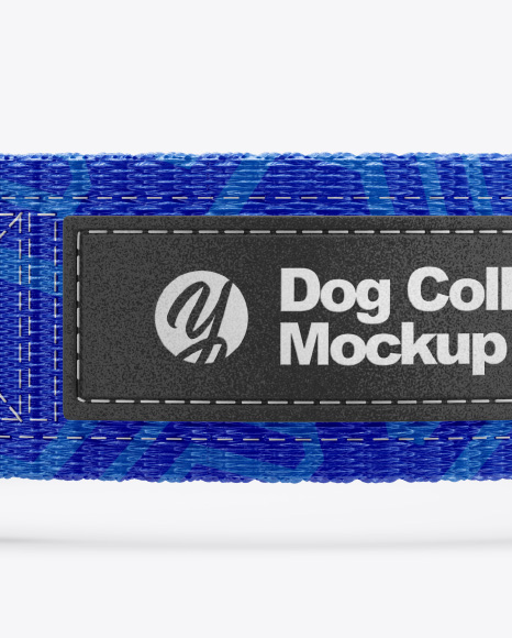 Download Dog Collar Mockup in Object Mockups on Yellow Images ...