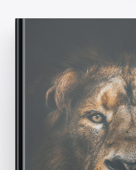 Book w  Glossy Cover Mockup PSD #2