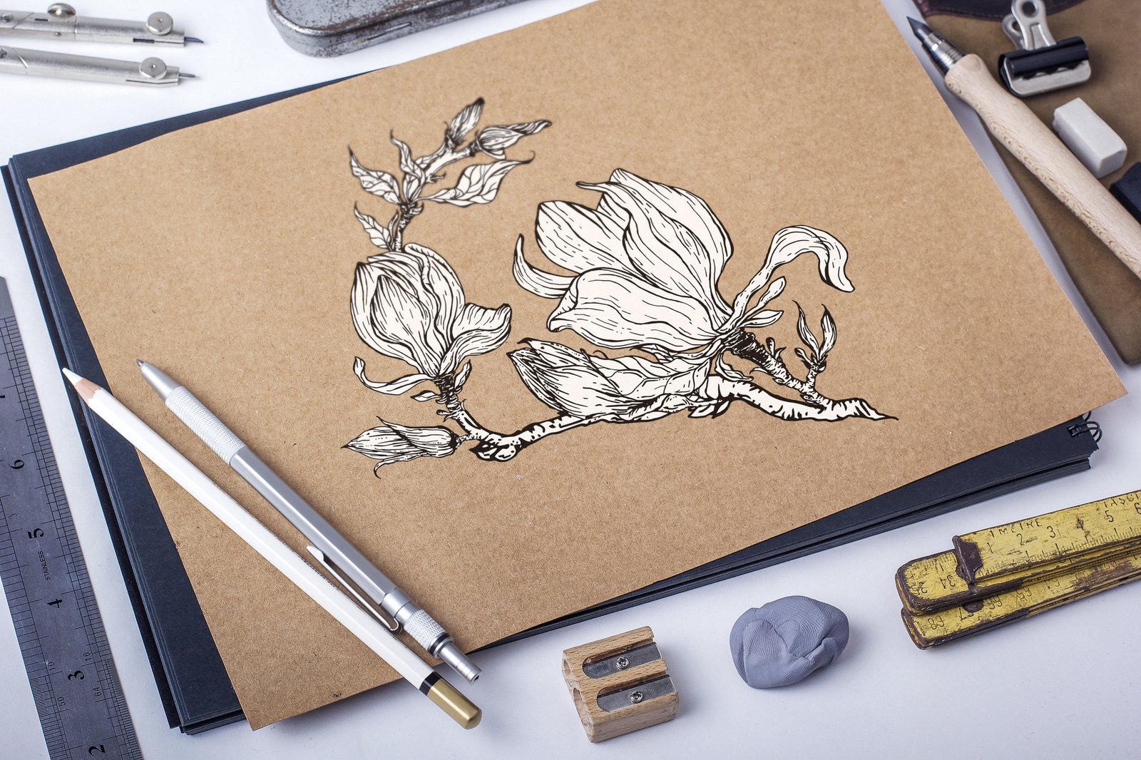 Graphic Floral Magnolia Elements For Design In Illustrations On Yellow Images Creative Store