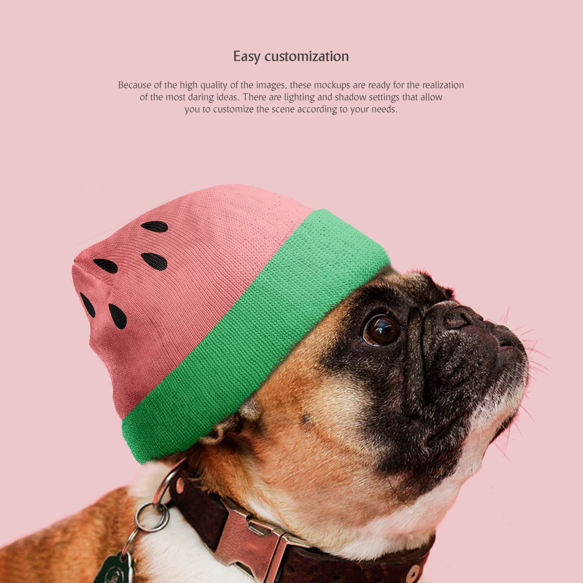 Download Dog Clothes Mockup - Free PSD Mockups Smart Object and Templates to create Magazines, Books ...