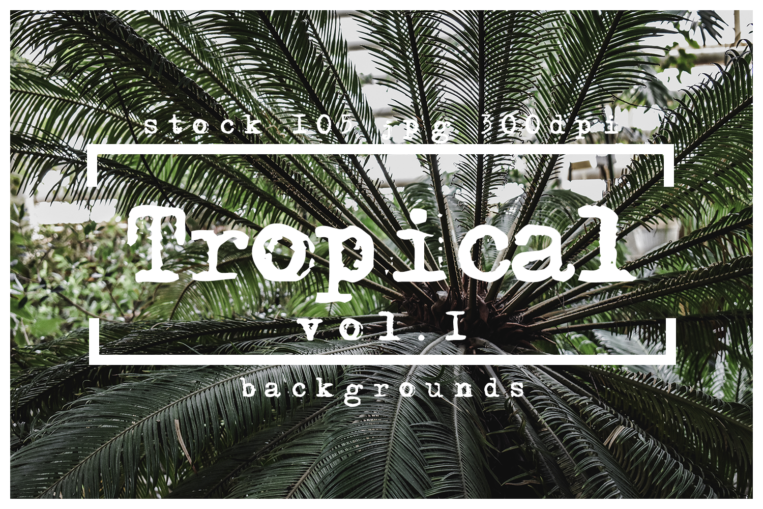 Tropical leaf backgounds real patterns digital paper