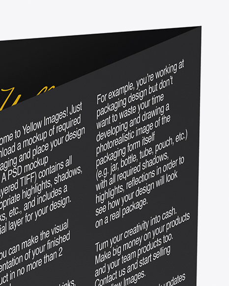A5 Brochure   Back Side Mockup PSD #1
