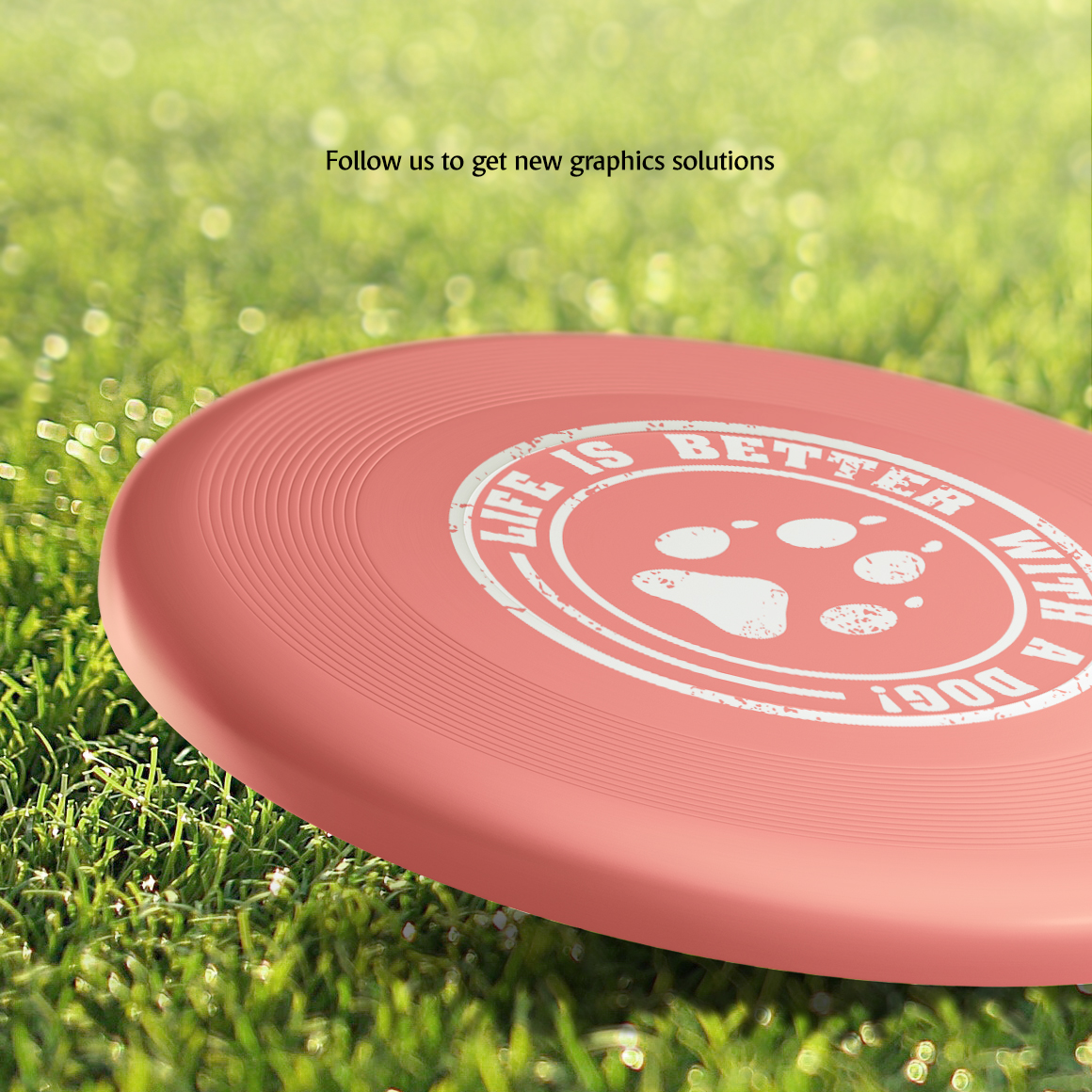 Download Frisbee Mockups Set in Product Mockups on Yellow Images Creative Store